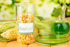 Buckfastleigh biofuel availability