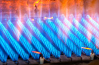 Buckfastleigh gas fired boilers